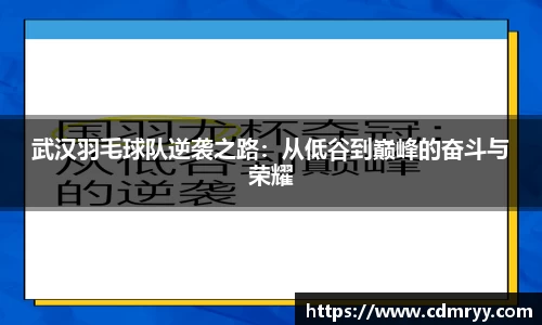武汉羽毛球队逆袭之路：从低谷到巅峰的奋斗与荣耀
