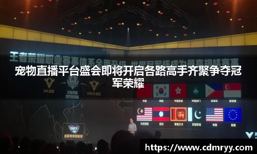 宠物直播平台盛会即将开启各路高手齐聚争夺冠军荣耀