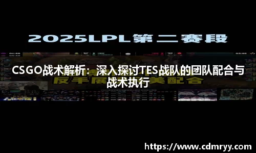 CSGO战术解析：深入探讨TES战队的团队配合与战术执行