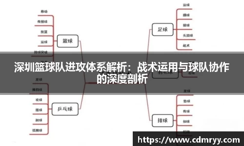 深圳篮球队进攻体系解析：战术运用与球队协作的深度剖析